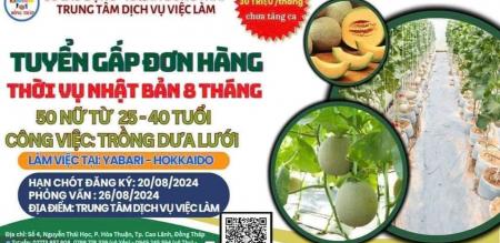 Thông tin về đơn hàng làm việc thời vụ tại Nhật Bản dành cho lao động Nữ